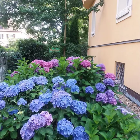 Apartment Barbara Apartment Marianske Lazne