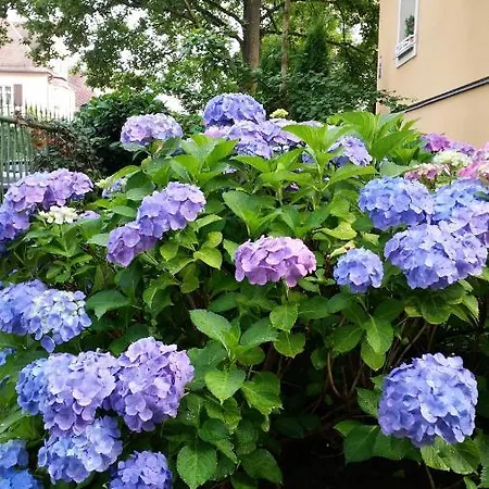 Apartment Apartment Barbara *