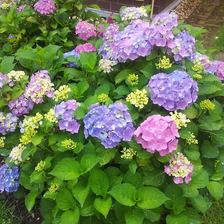 Apartment Apartment Barbara *