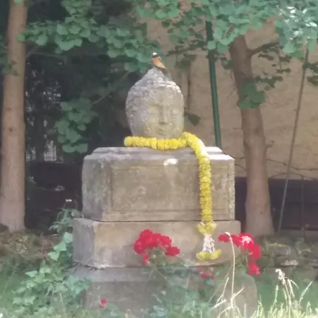 Apartment Barbara Apartment *