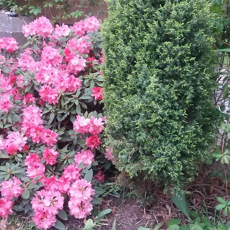 Apartment Apartment Barbara